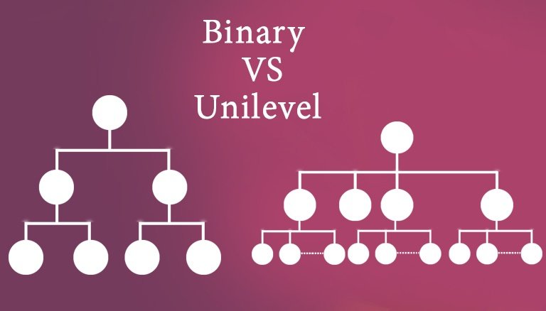 Binary-mlm-pro wordpress plugin